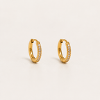 Elegant Gold Hoop Earrings