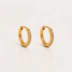 Elegant Gold Hoop Earrings