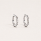 Elegant Gold Hoop Earrings