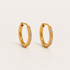 Elegant Gold Hoop Earrings