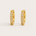 Elegant Gold Hoop Earrings