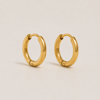 Elegant Gold Hoop Earrings