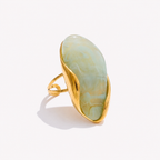 18k Gold Plated Stainless Steel Ring with Resin Detail