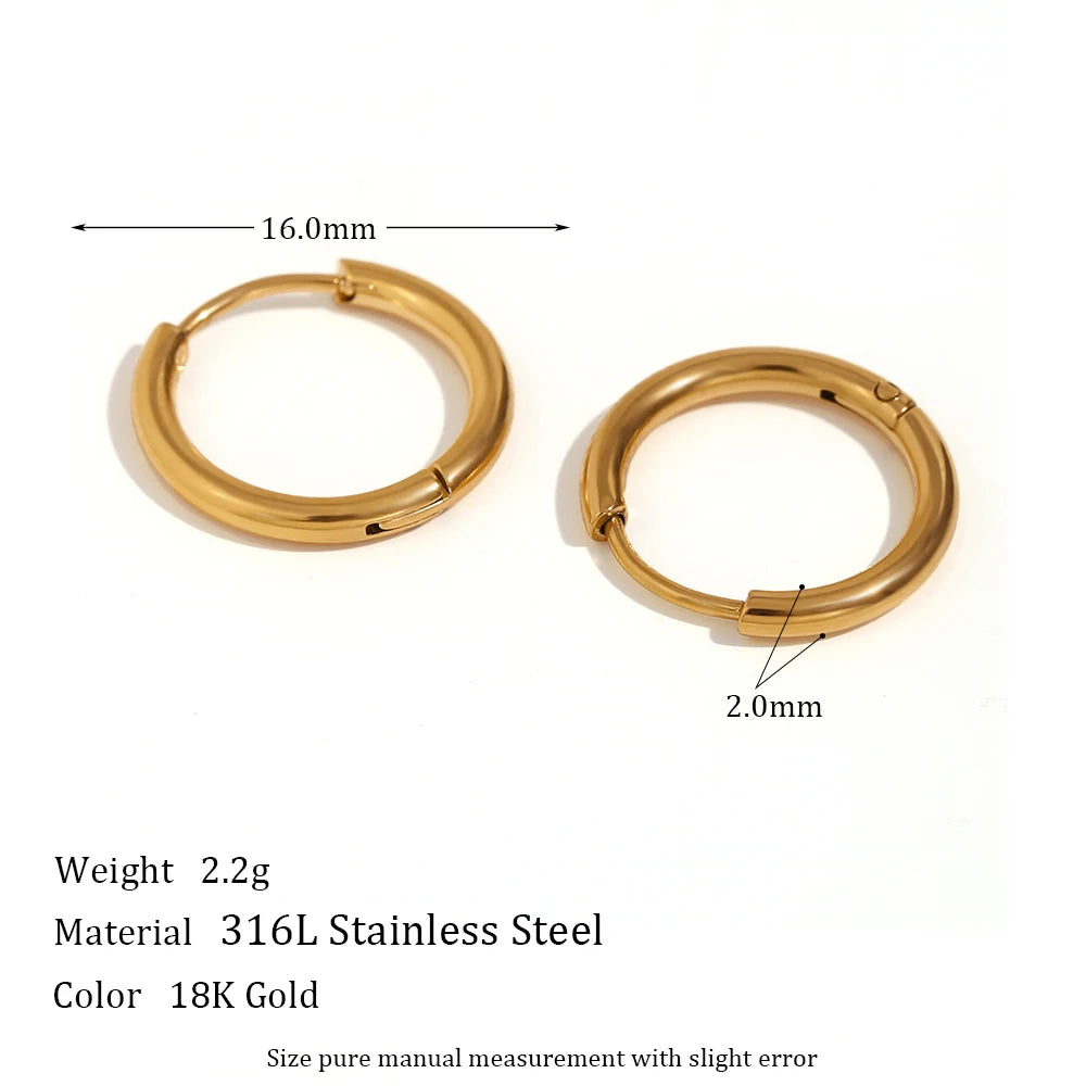 Elegant Gold Hoop Earrings