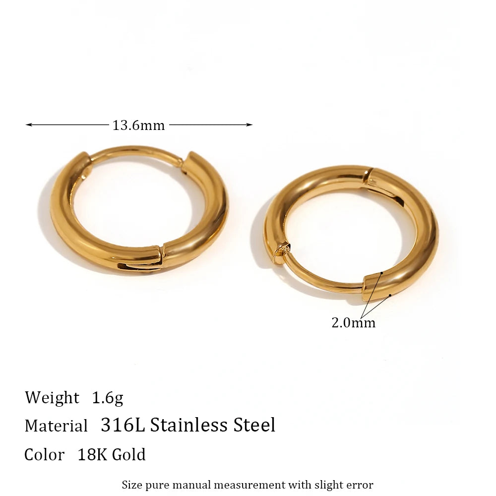 Elegant Gold Hoop Earrings